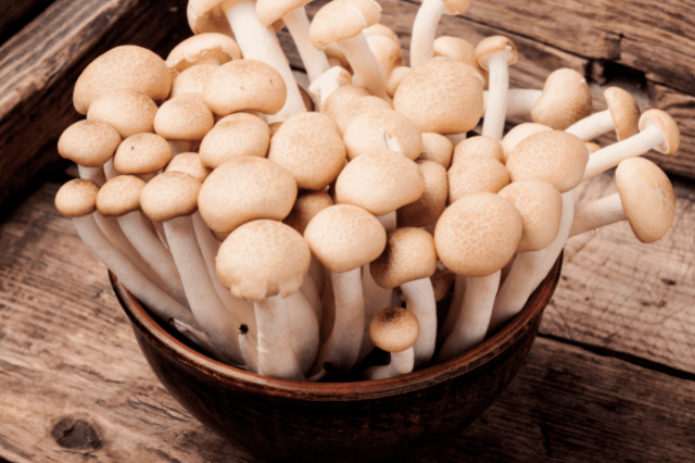 Can Mushrooms Be Eaten Raw